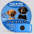 Colgante antiparasitos natural para perros, color azul, con su lata (alta resolucion)