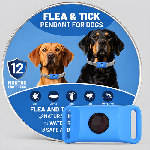 Colgante antiparasitos natural para perros, color azul, con su lata (alta resolucion)