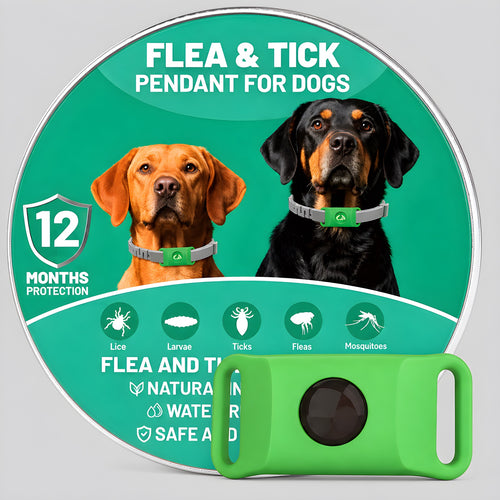 Colgante antiparasitos natural para perros, color verde, con su lata (alta resolucion)